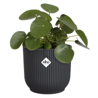 vibes fold rond 22cm anthracite